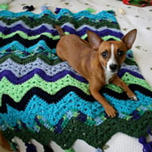 Load image into Gallery viewer, 6‑Day Classics Bundle — 6 Signature Patterns by Betty McKnit
